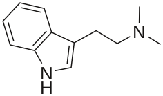 DMT
