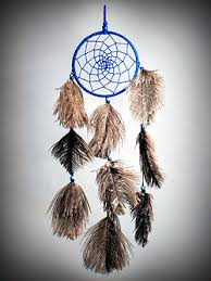 dream catcher idol