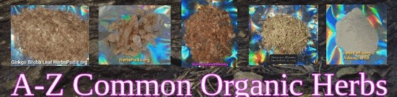 buy organic herbs