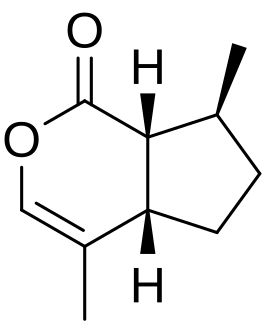nepetalactone