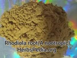 rhodiola powder