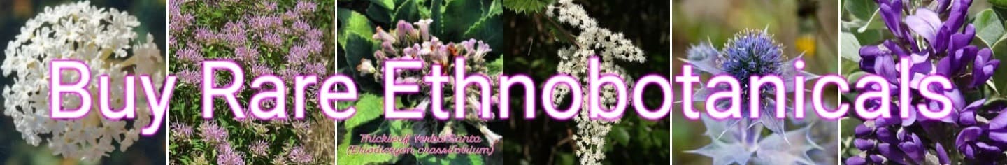 buy rare ethnobotanicals